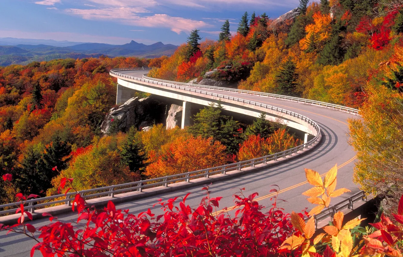 Photo wallpaper road, autumn, viaduct