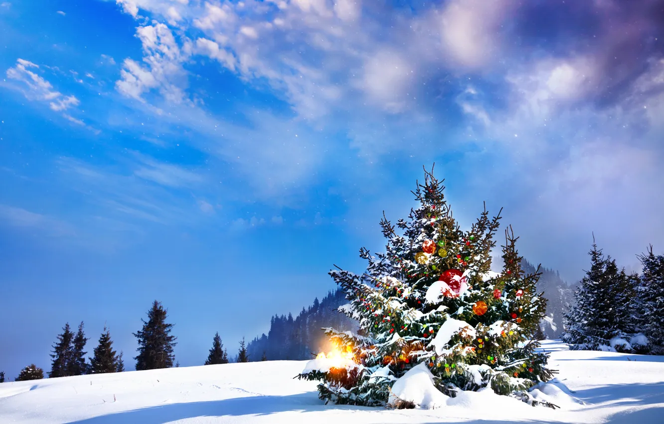 Photo wallpaper winter, snow, tree, New Year, Christmas, Christmas, landscape, winter