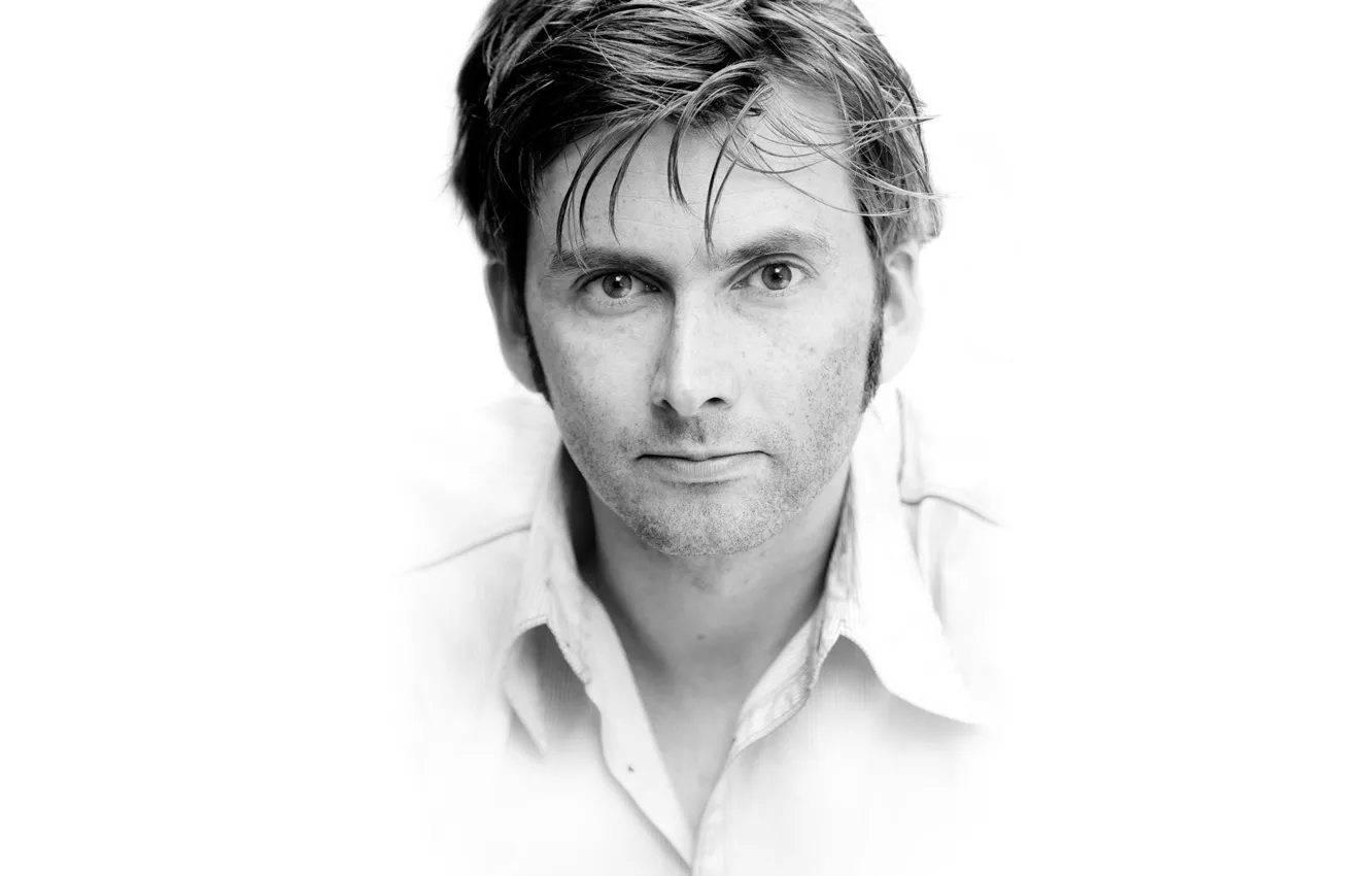 Photo wallpaper actor, David Tennant, David Tennant