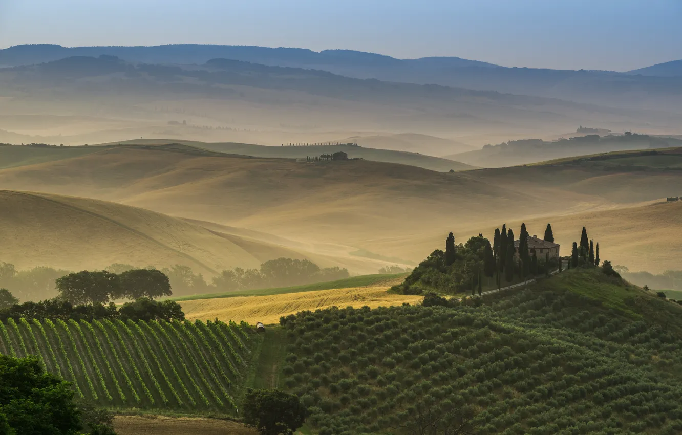 Photo wallpaper field, trees, fog, hills, home, dal, garden, meadow