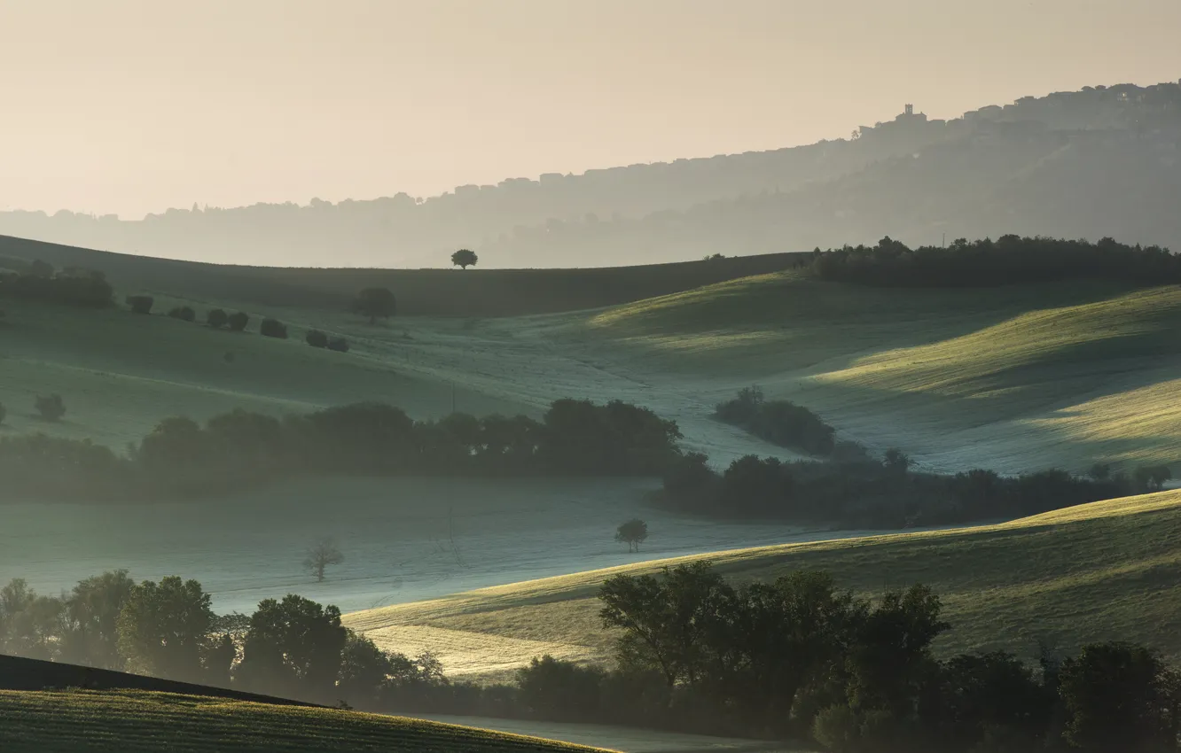 Photo wallpaper trees, fog, hills, field, morning, Italy
