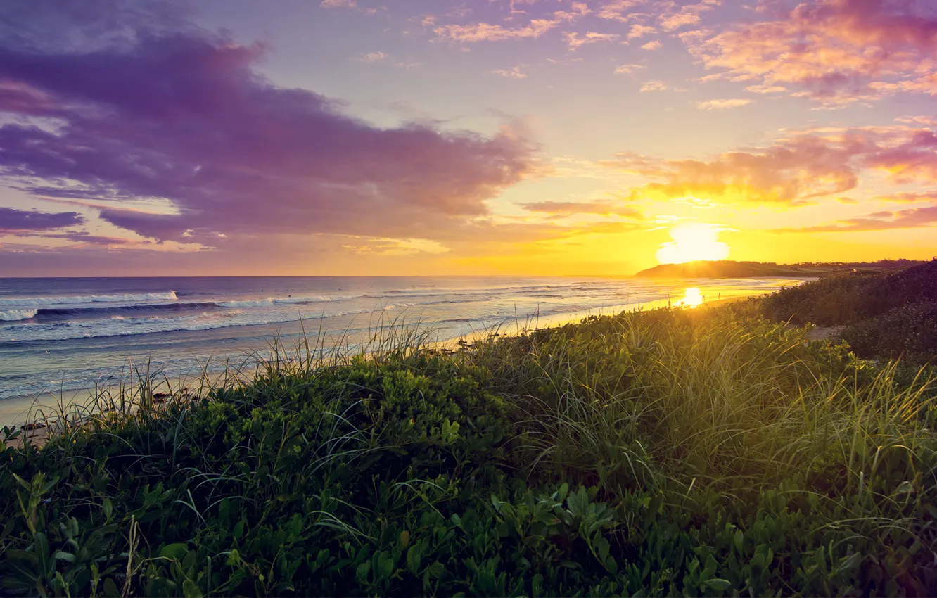 Photo wallpaper sea, grass, the sun, clouds, sunset, shore