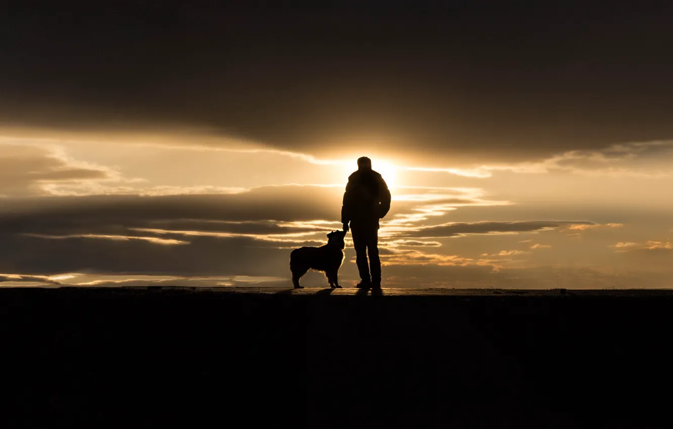 Photo wallpaper sunset, people, dog, Portland, Maine, Sumner Park, The Touch