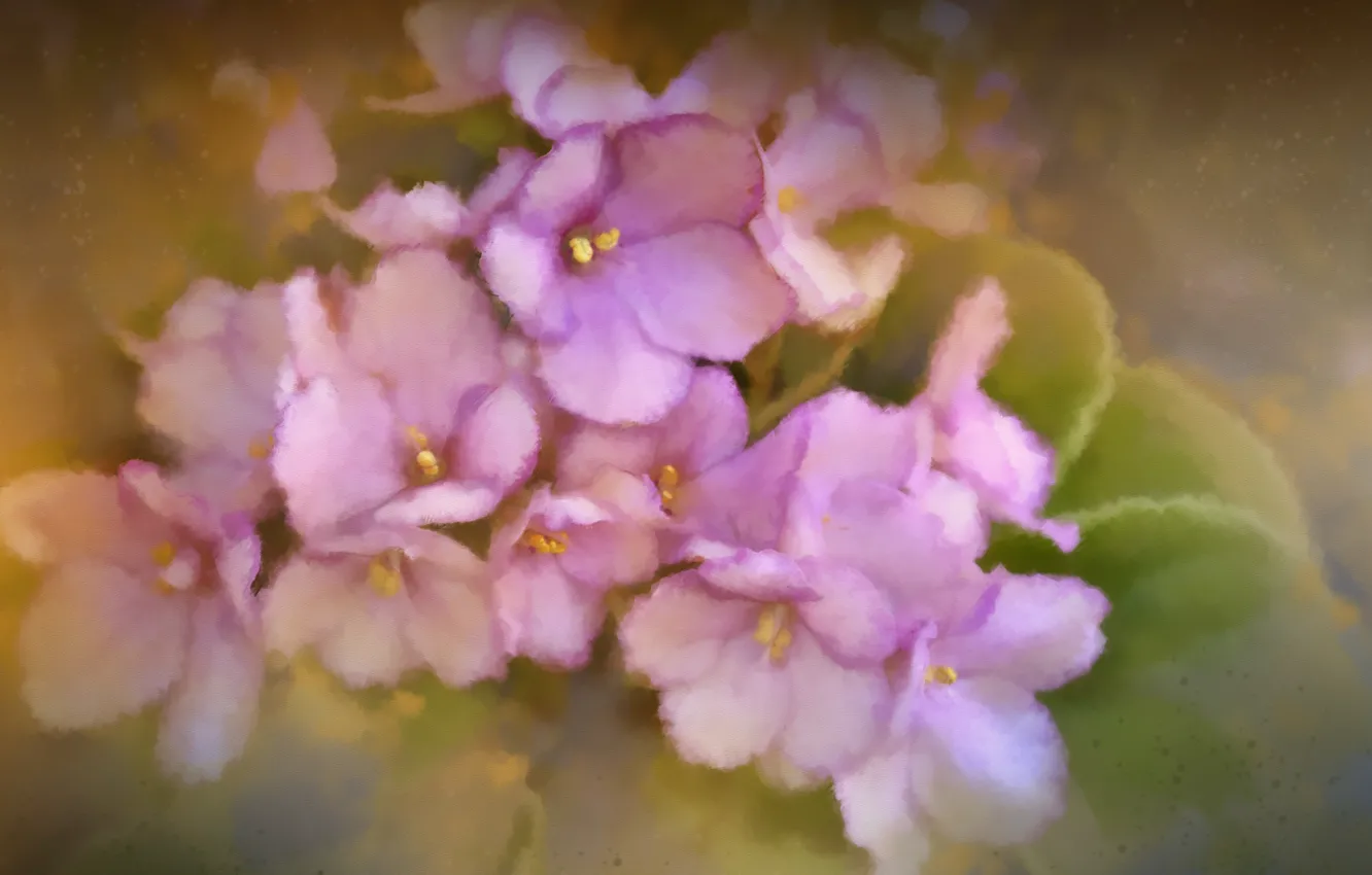Photo wallpaper flowers, watercolor, violet