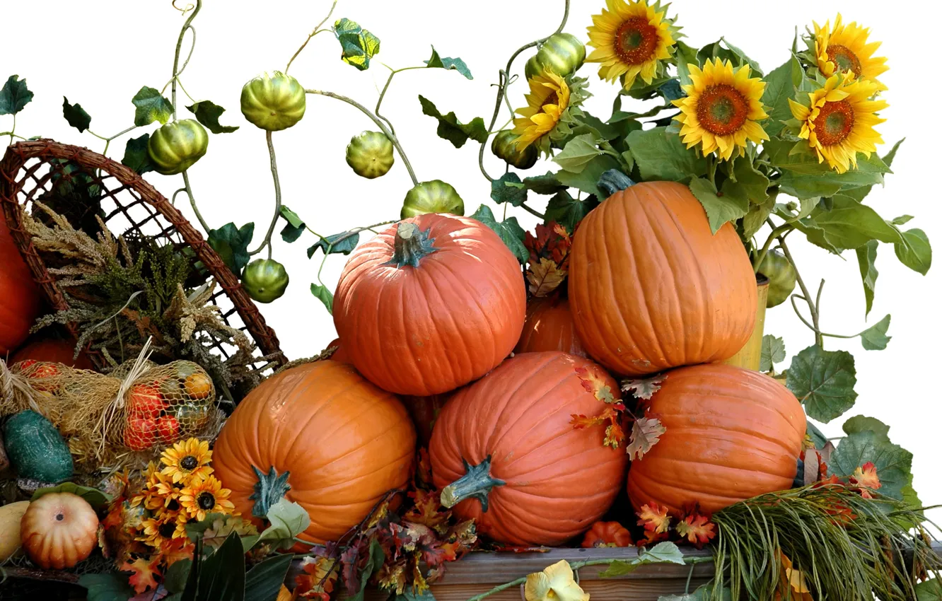 Photo wallpaper leaves, sunflowers, pumpkin