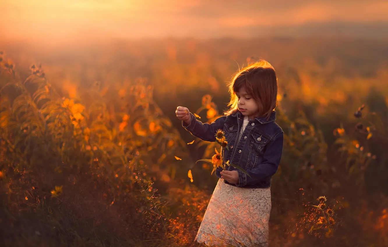 Photo wallpaper field, sunset, flowers, girl