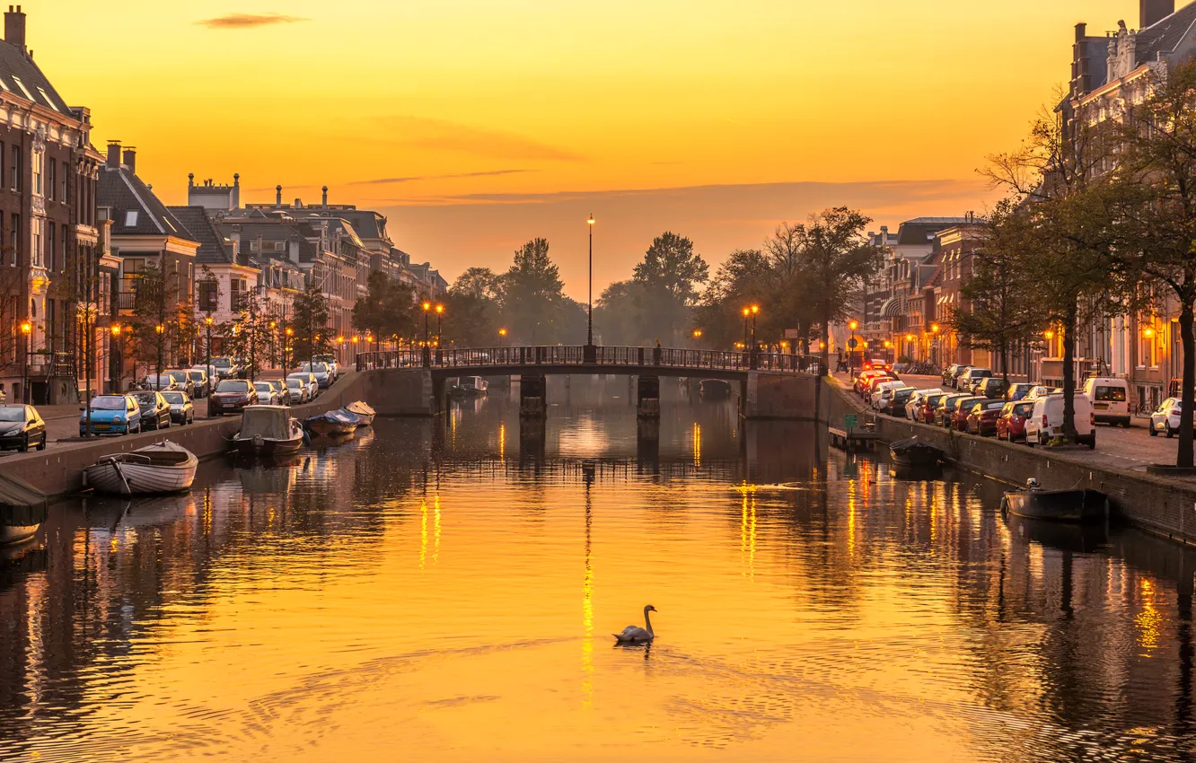 Photo wallpaper bridge, river, home, the evening, Swan, Netherlands, Haarlem