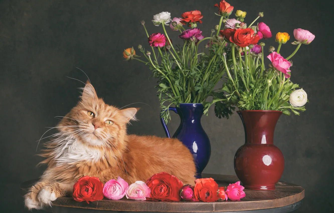 Photo wallpaper cat, cat, table, bouquet