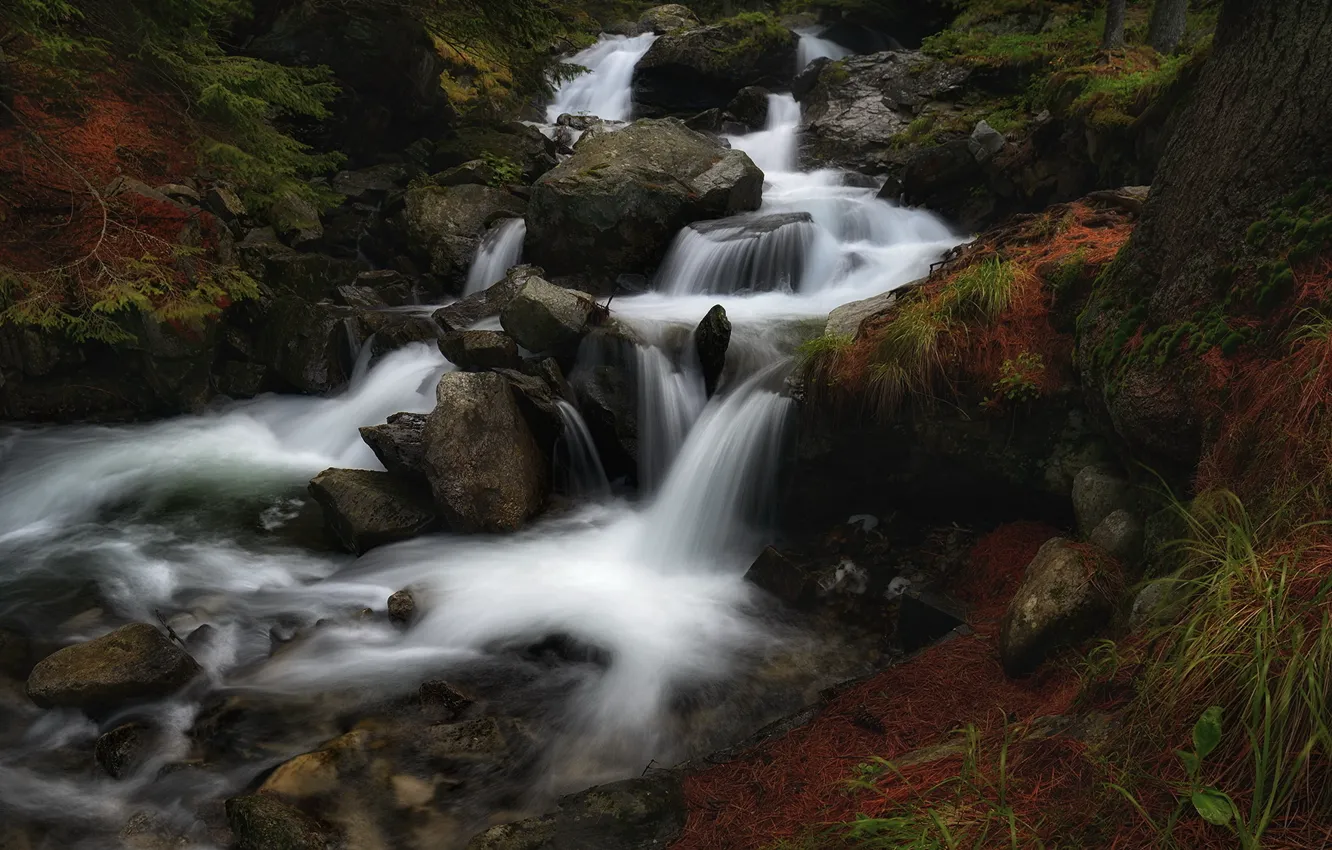Photo wallpaper stones, the dark background, nature, waterfall, pond, water, stream, landscape