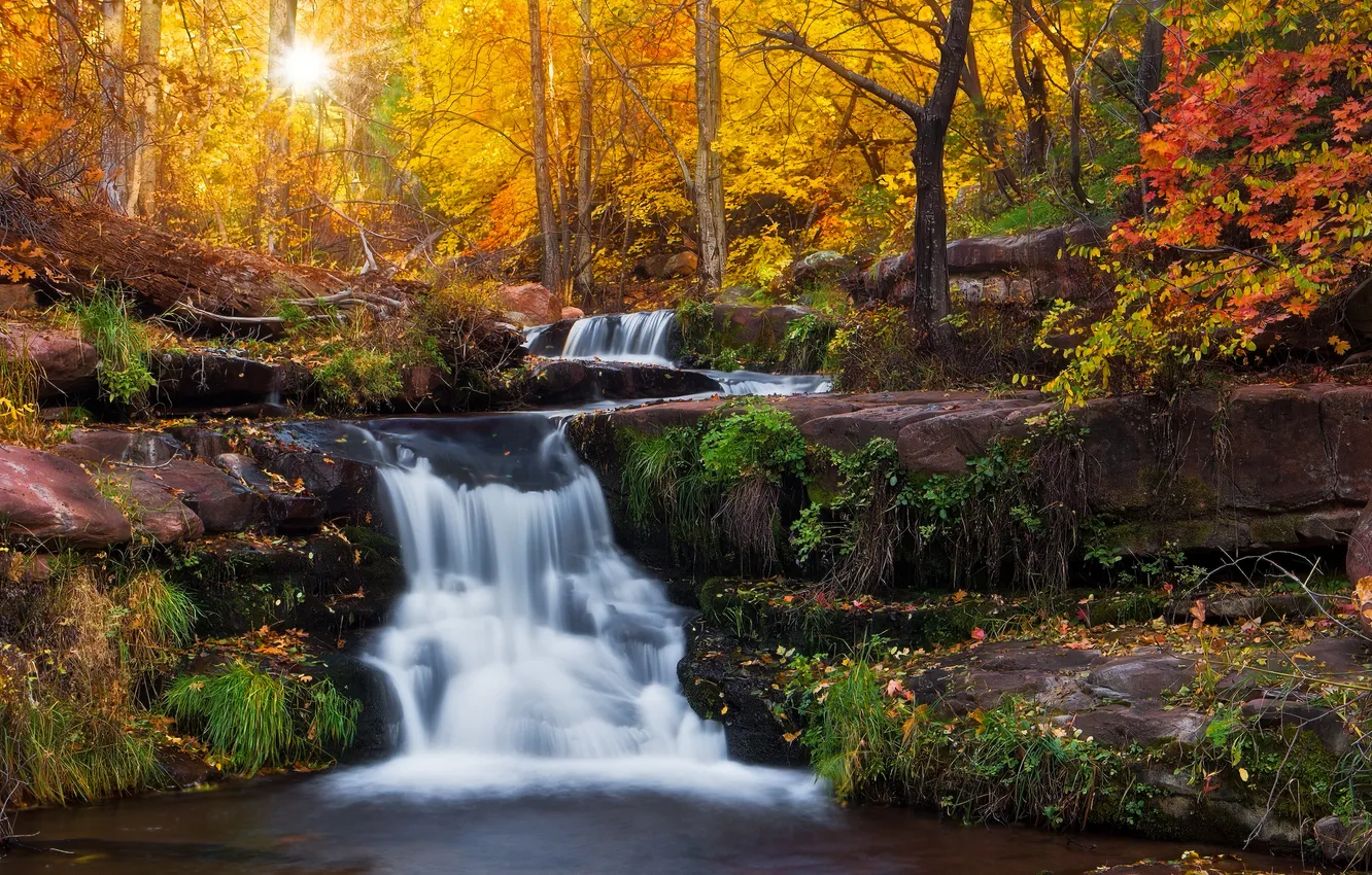 Photo wallpaper autumn, forest, the sun, foliage, waterfall