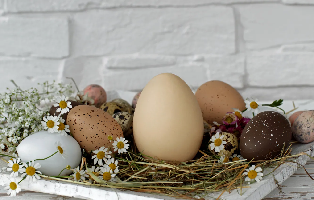 Photo wallpaper flowers, wall, holiday, eggs, Easter, hay, stand, Easter