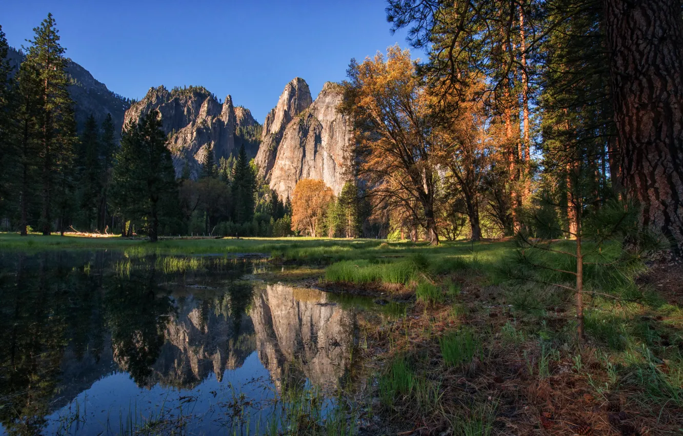 Photo wallpaper water, trees, reflection, rocks, USA, Yosemite, Cathedral Rocks