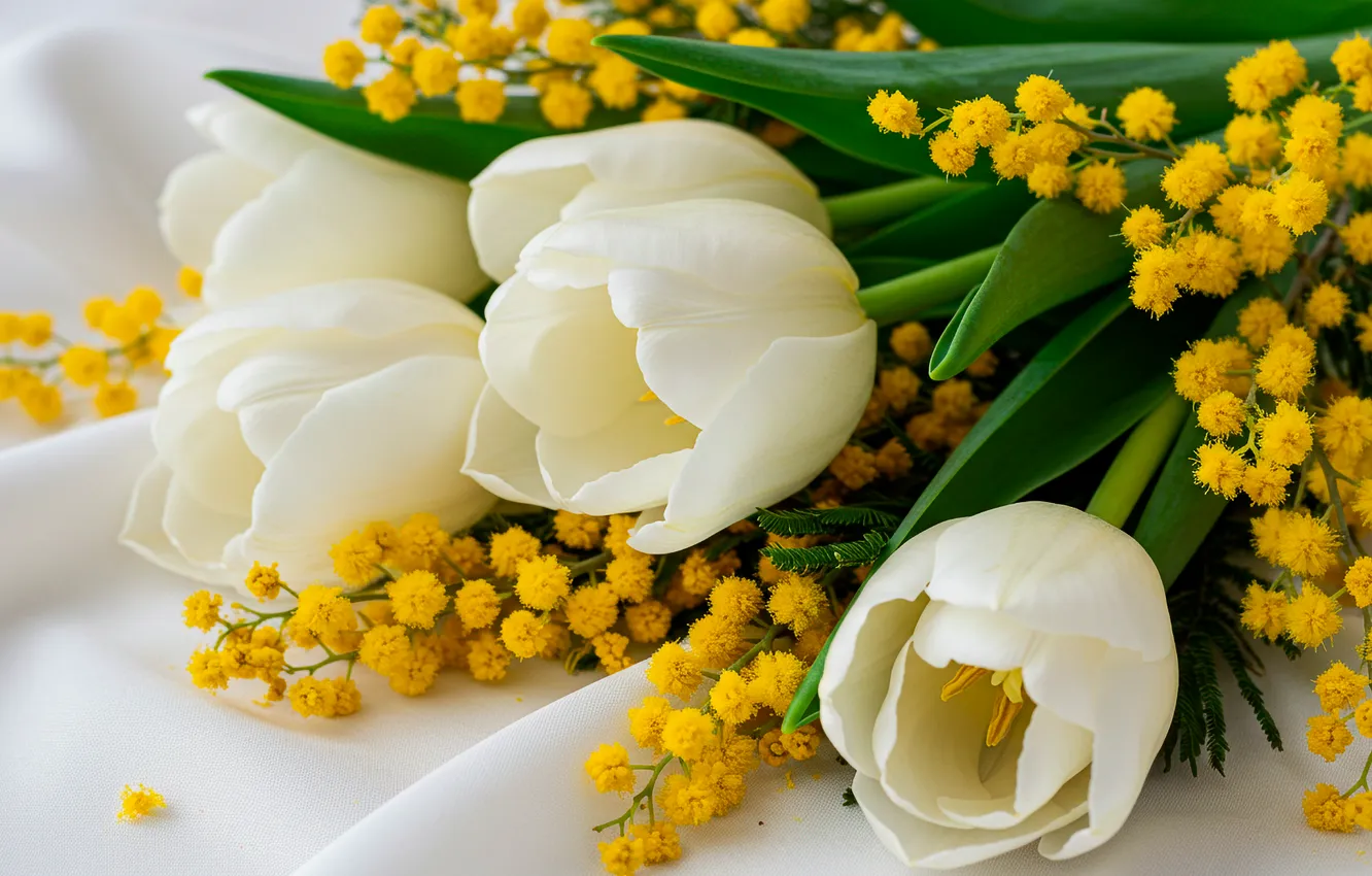 Photo wallpaper flowers, bouquet, tulips, flowers, tulips, bouquet, Mimosa, mimosa