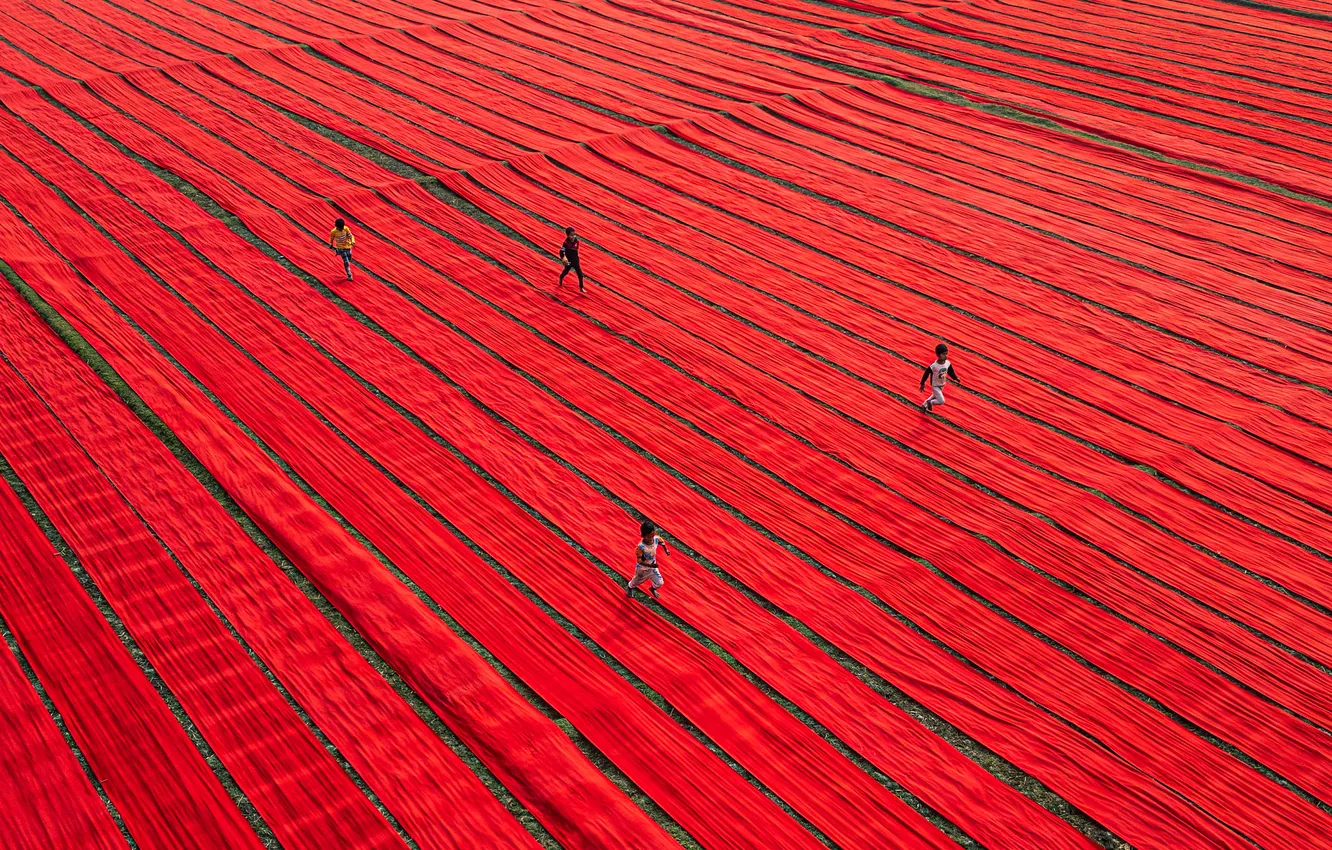 Photo wallpaper field, red, children, tape, runs
