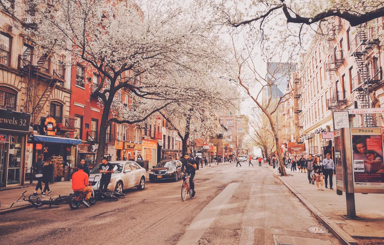Photo wallpaper trees, bike, people, street, New York, neon, stores, life