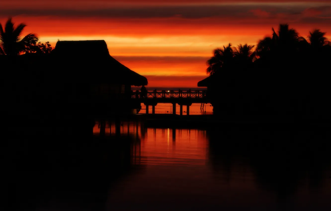 Photo wallpaper sunset, tropics, Tahiti, moorea