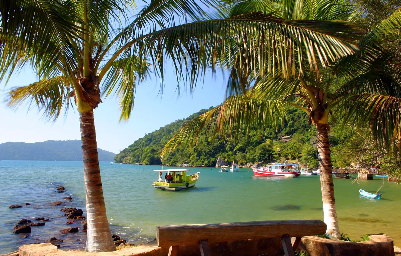 Photo wallpaper palm trees, boat, Bay