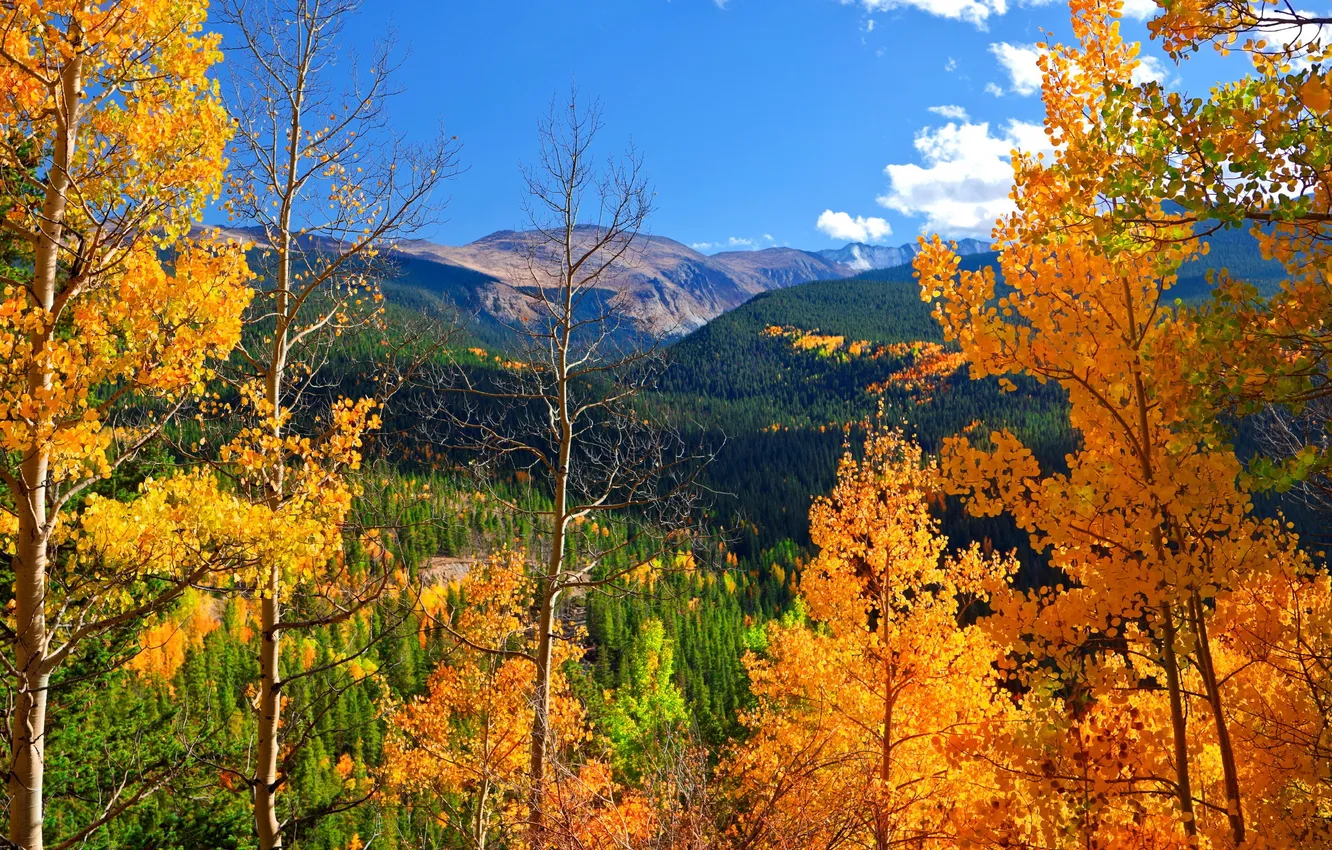 Photo wallpaper autumn, the sky, clouds, trees, mountains