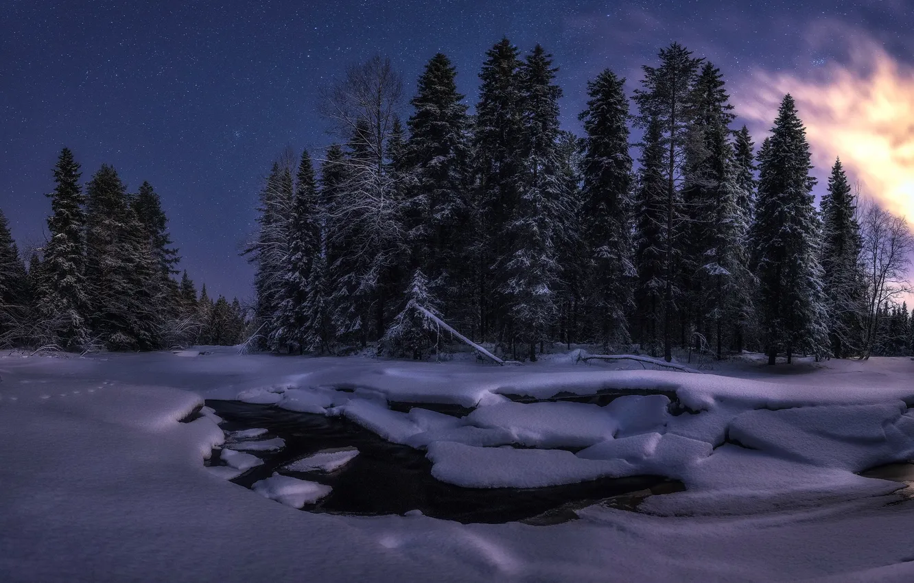 Photo wallpaper winter, snow, night