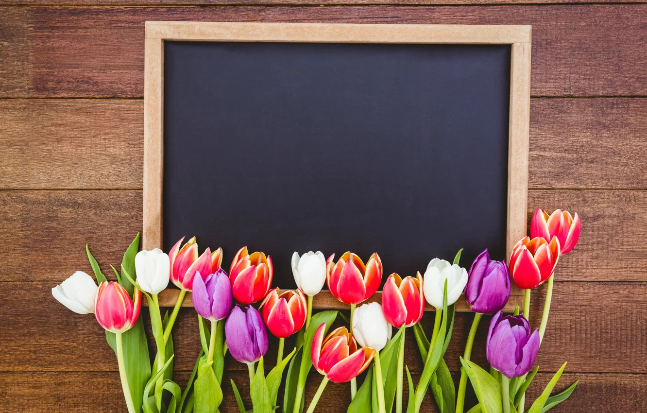 Photo wallpaper flowers, Board, bouquet, colorful, tulips, red, white, wood