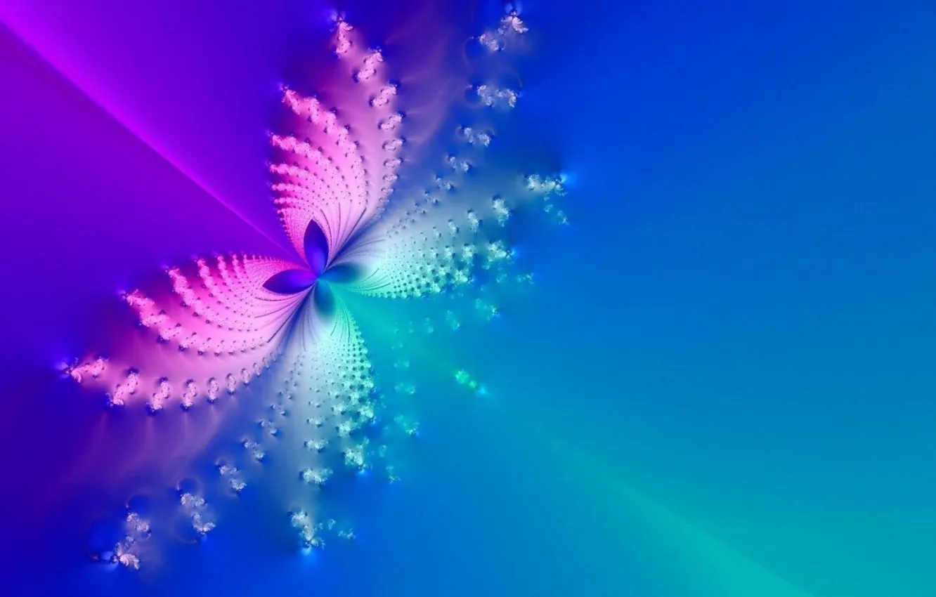Photo wallpaper light, butterfly, color, wings, fractal, symmetry