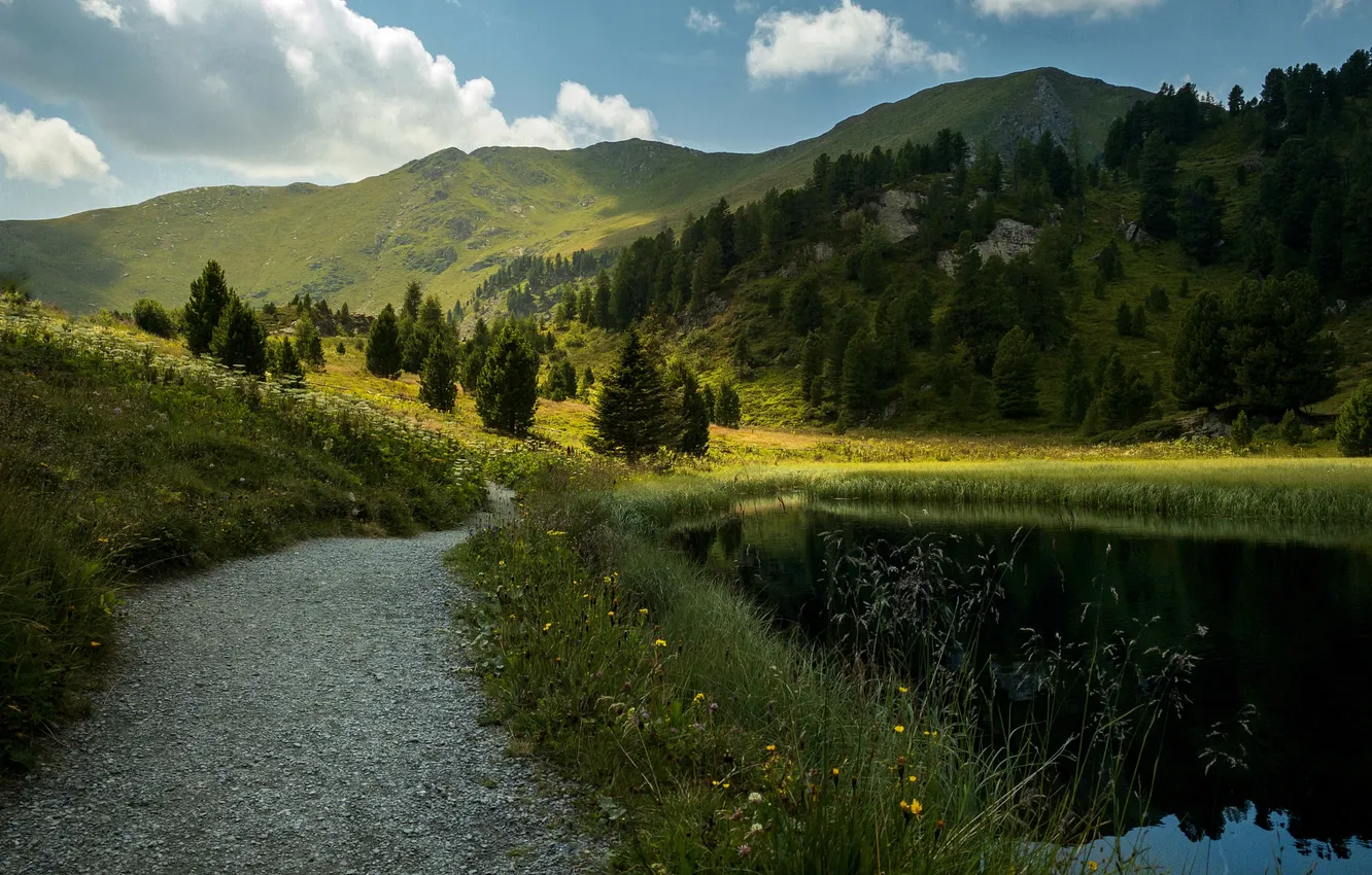 Photo wallpaper forest, mountains, lake, track