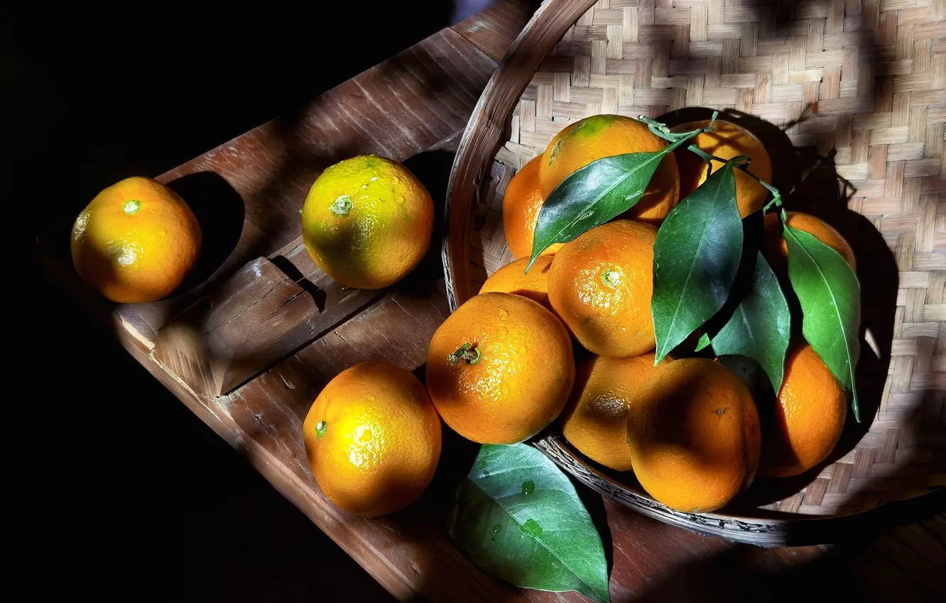 Photo wallpaper leaves, drops, light, Board, shadow, lighting, black background, basket