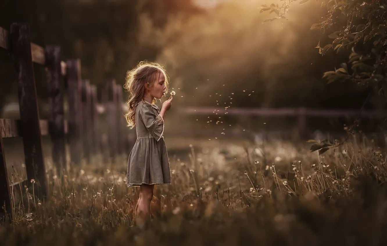 Photo wallpaper summer, grass, nature, the fence, the evening, girl, dandelions, child