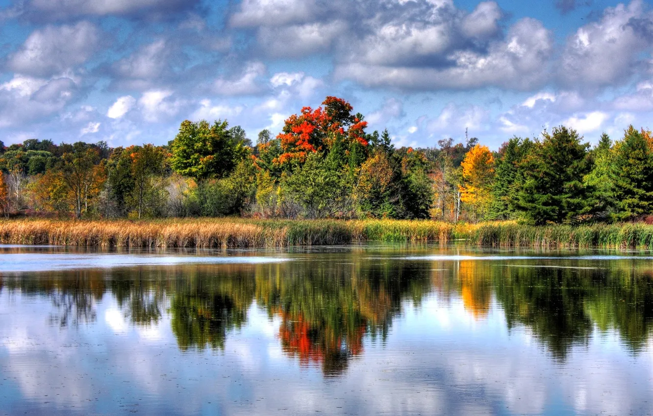 Photo wallpaper autumn, forest, the sky, clouds, trees, lake, reflection, reed