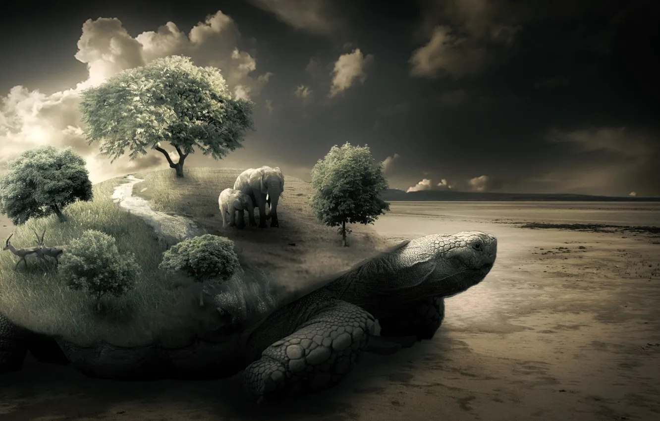 Photo wallpaper animals, the sky, grass, trees, desert, dal, horizon, elephants