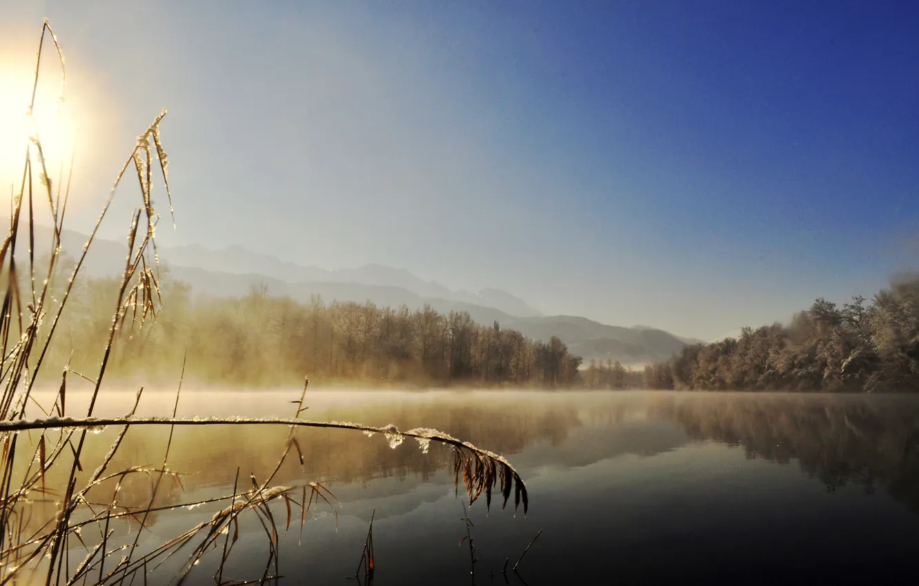 Photo wallpaper cold, frost, grass, the sun, lake