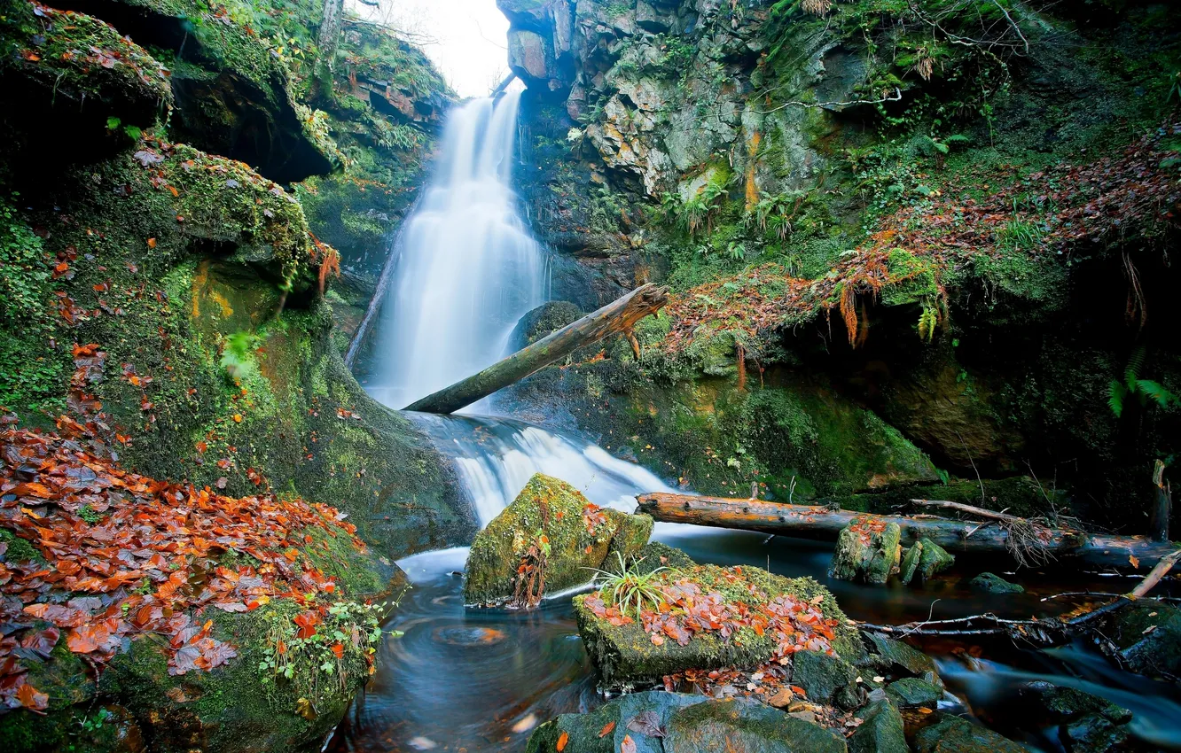 Photo wallpaper leaves, stones, waterfall, Scotland, logs