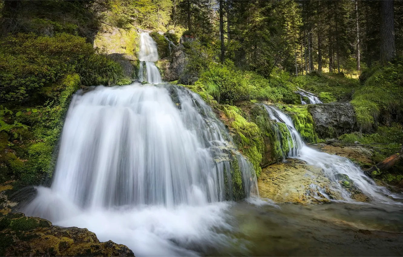 Photo wallpaper forest, waterfall, cascade, Italy, Trentino, Italia, Trentino, Vallesinella waterfalls