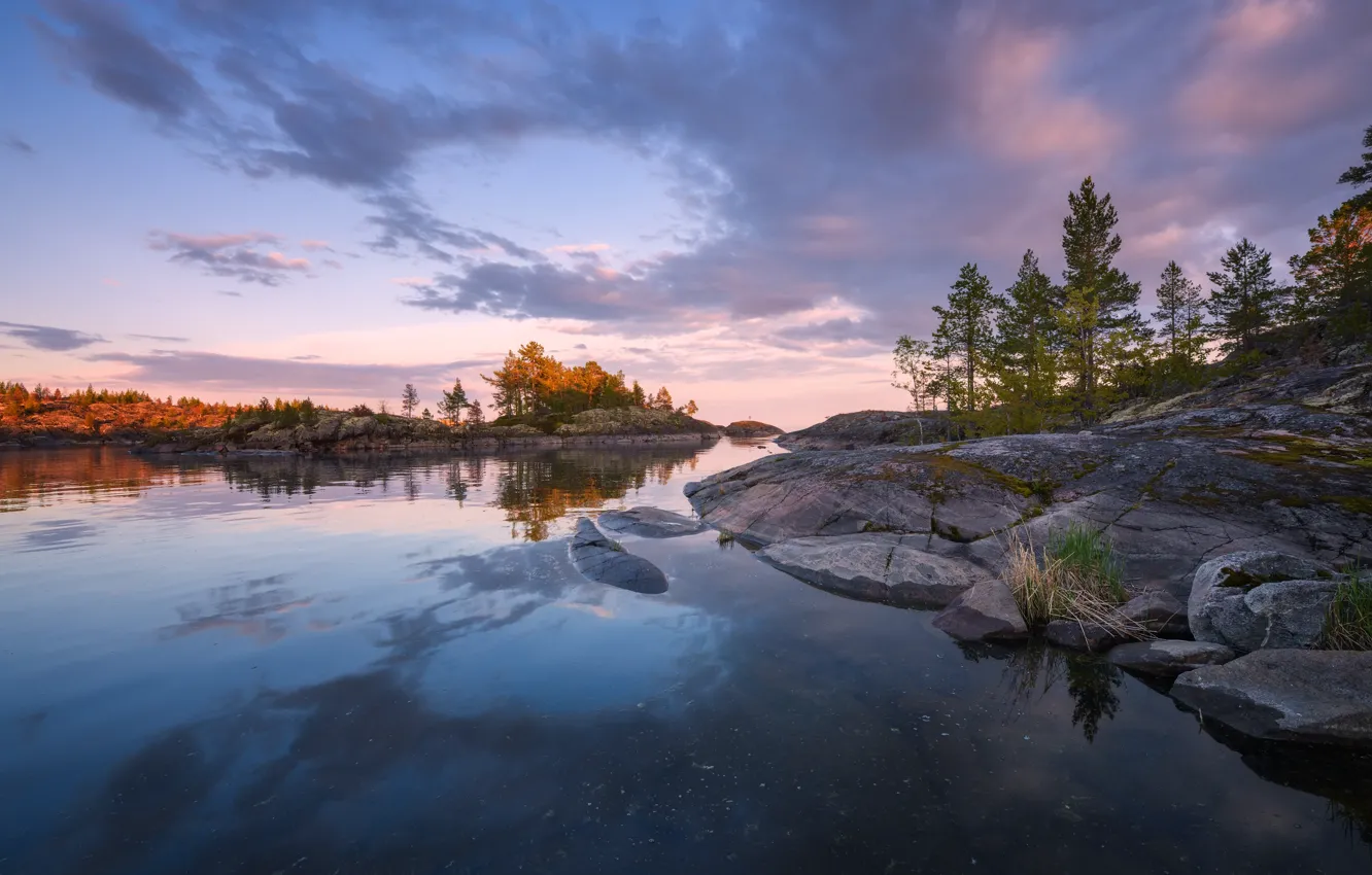 Wallpaper trees, stones, rocks, pond for mobile and desktop, section