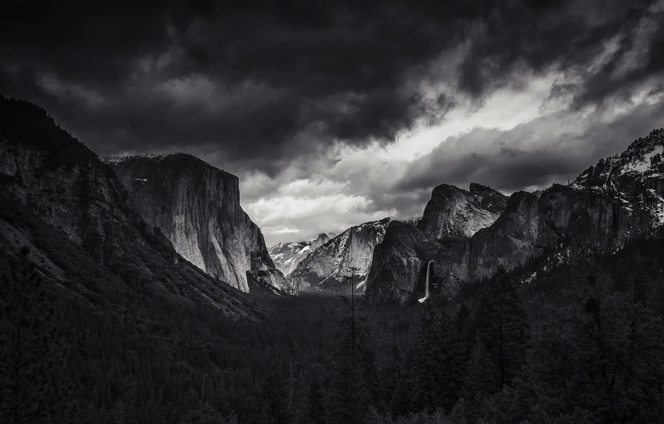 Photo wallpaper forest, the sky, mountains, clouds, nature, rocks, black and white, USA