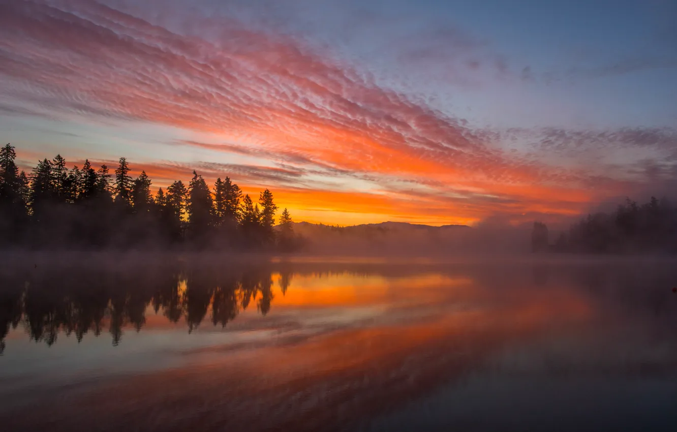 Photo wallpaper the sky, clouds, landscape, sunset, fog