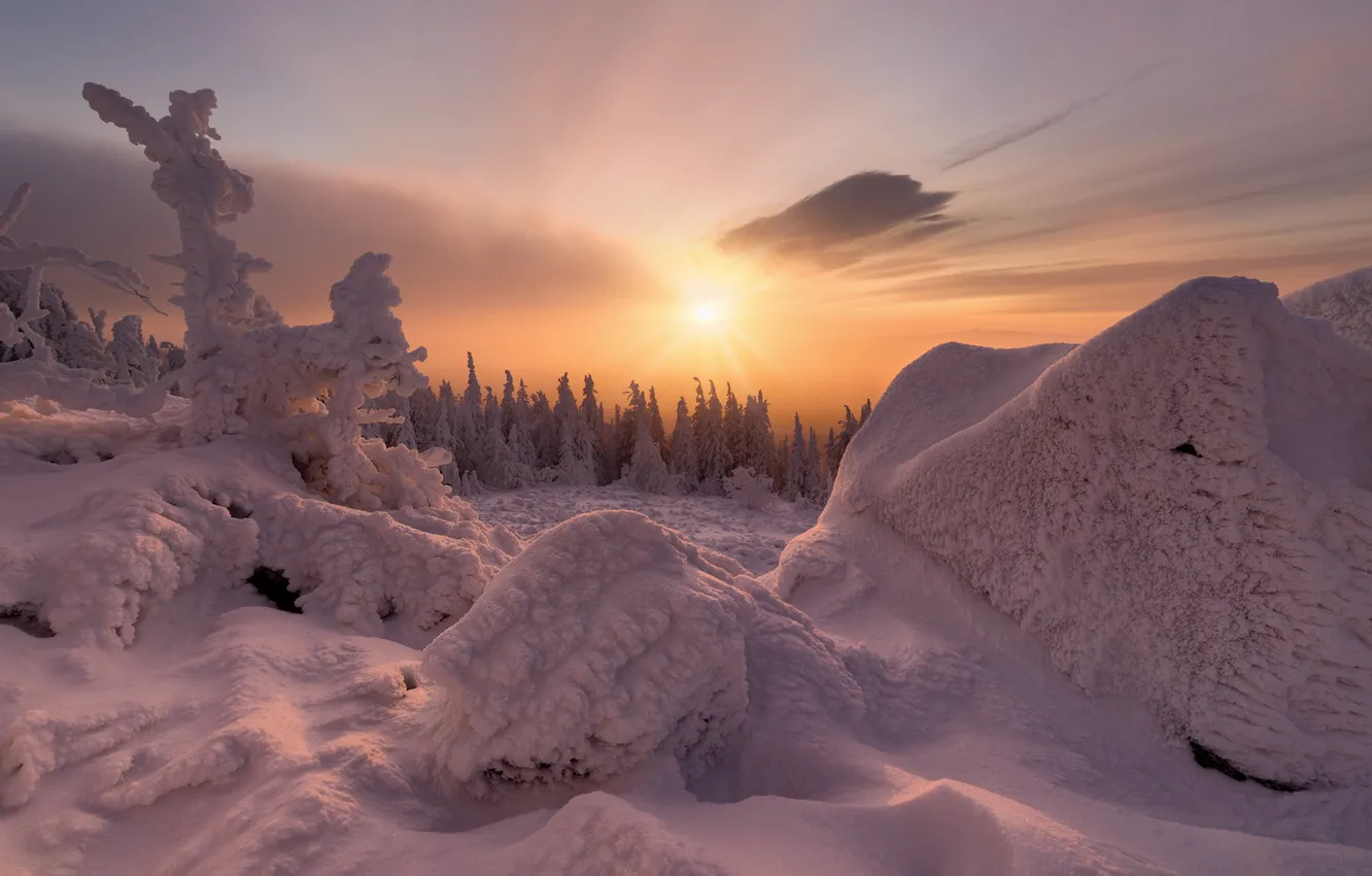 Photo wallpaper winter, frost, forest, the sky, the sun, clouds, light, snow