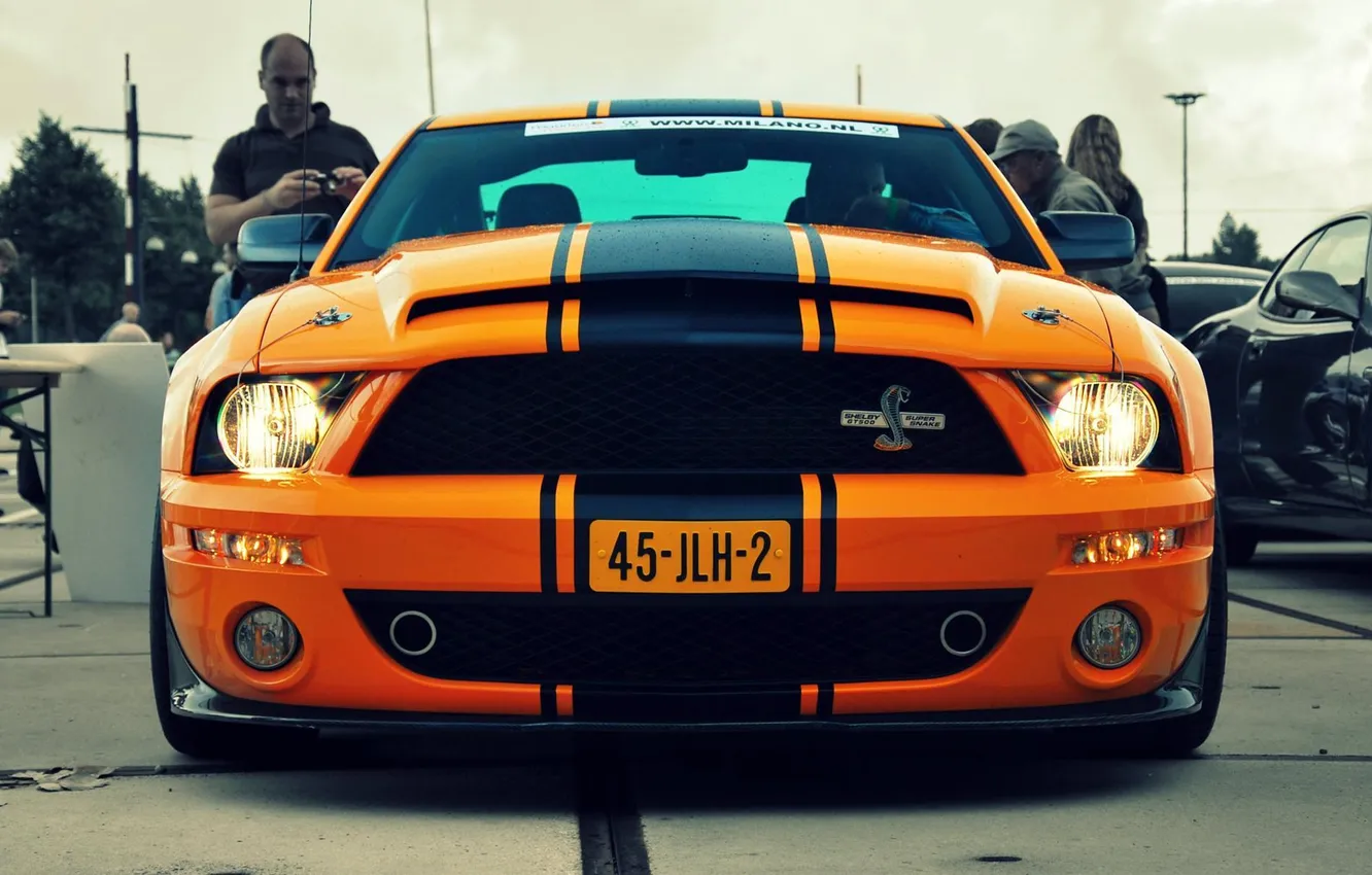 Photo wallpaper photo, Ford, Shelby, GT500, cars, auto