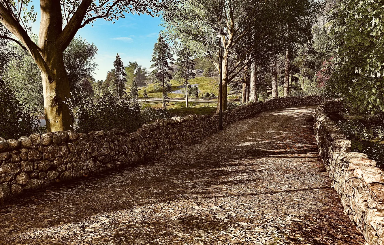 Photo wallpaper HDR, game, sky, stone, wood, leaves, tree, spring