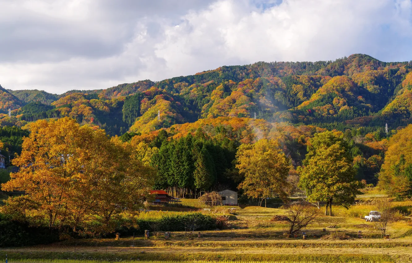 Photo wallpaper field, autumn, forest, the sun, trees, mountains, harvest