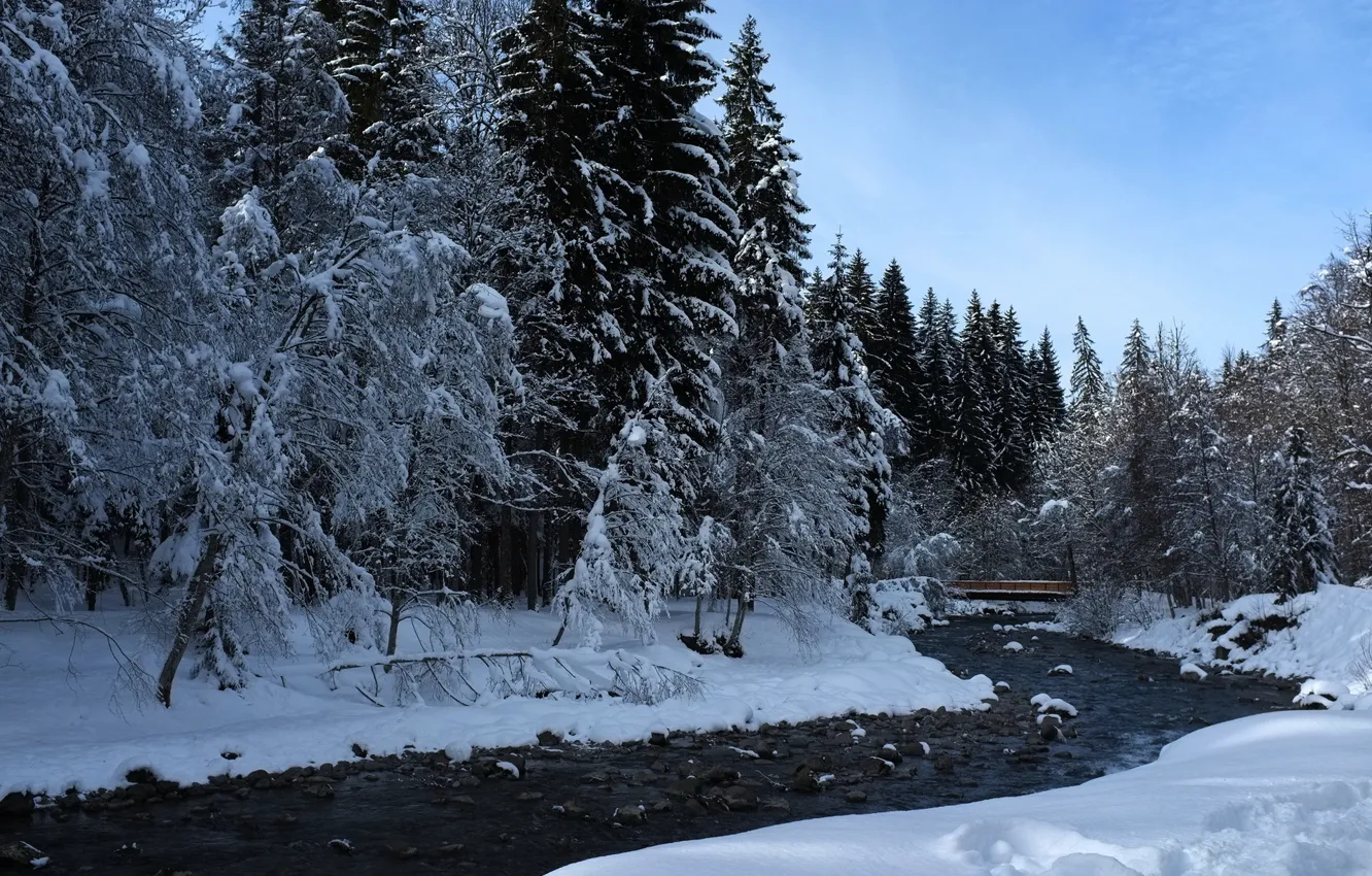 Photo wallpaper winter, forest, nature, river