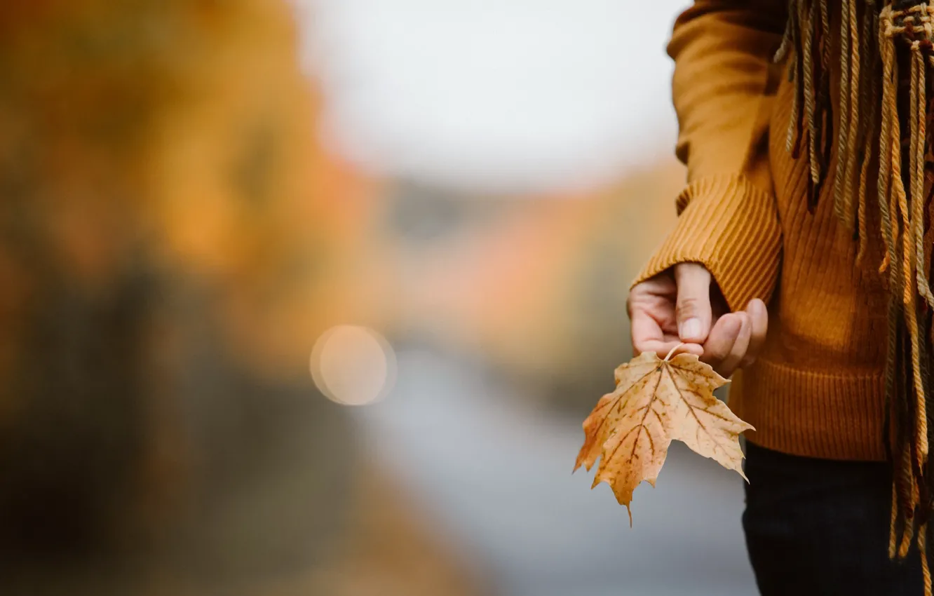 Photo wallpaper leaves, hands, the event