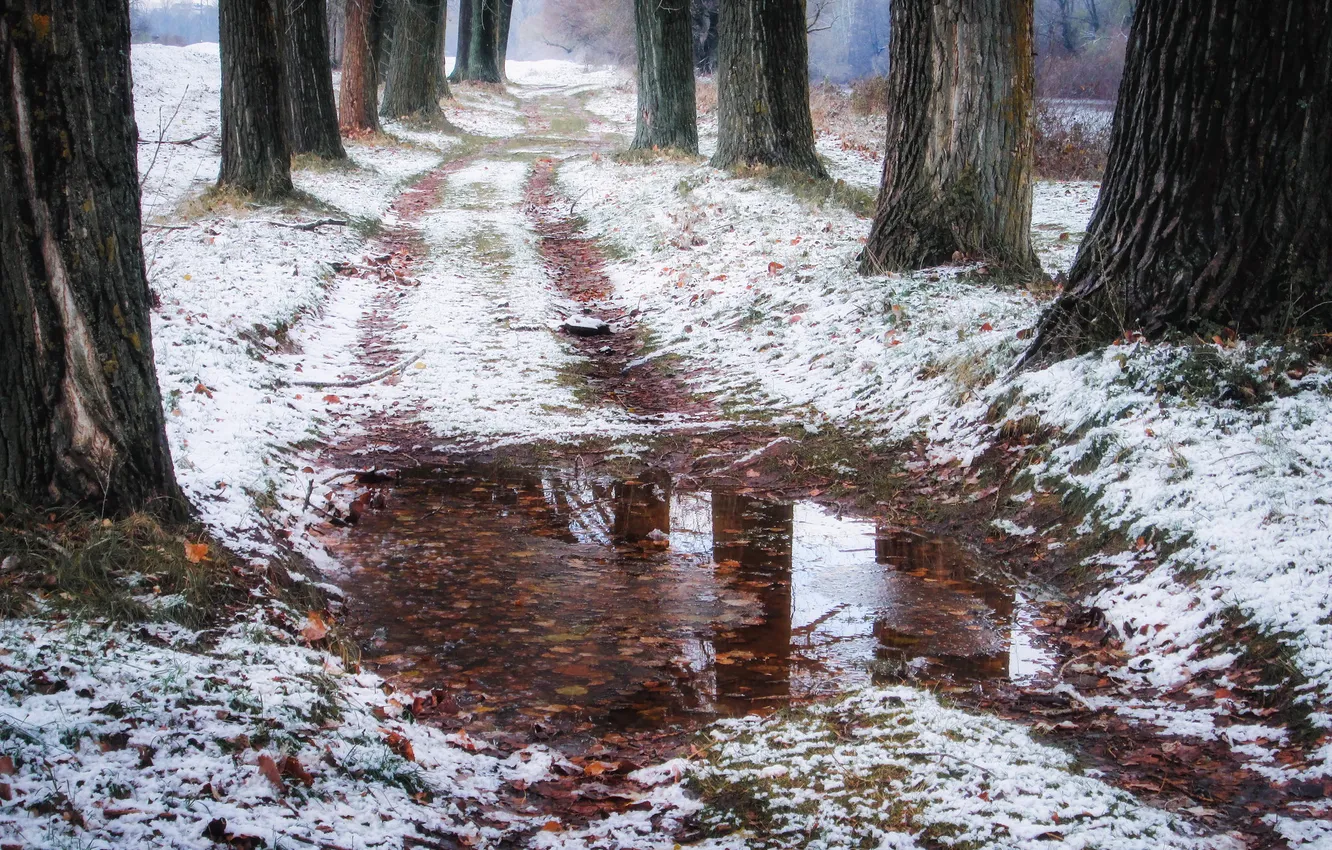 Photo wallpaper winter, road, puddle