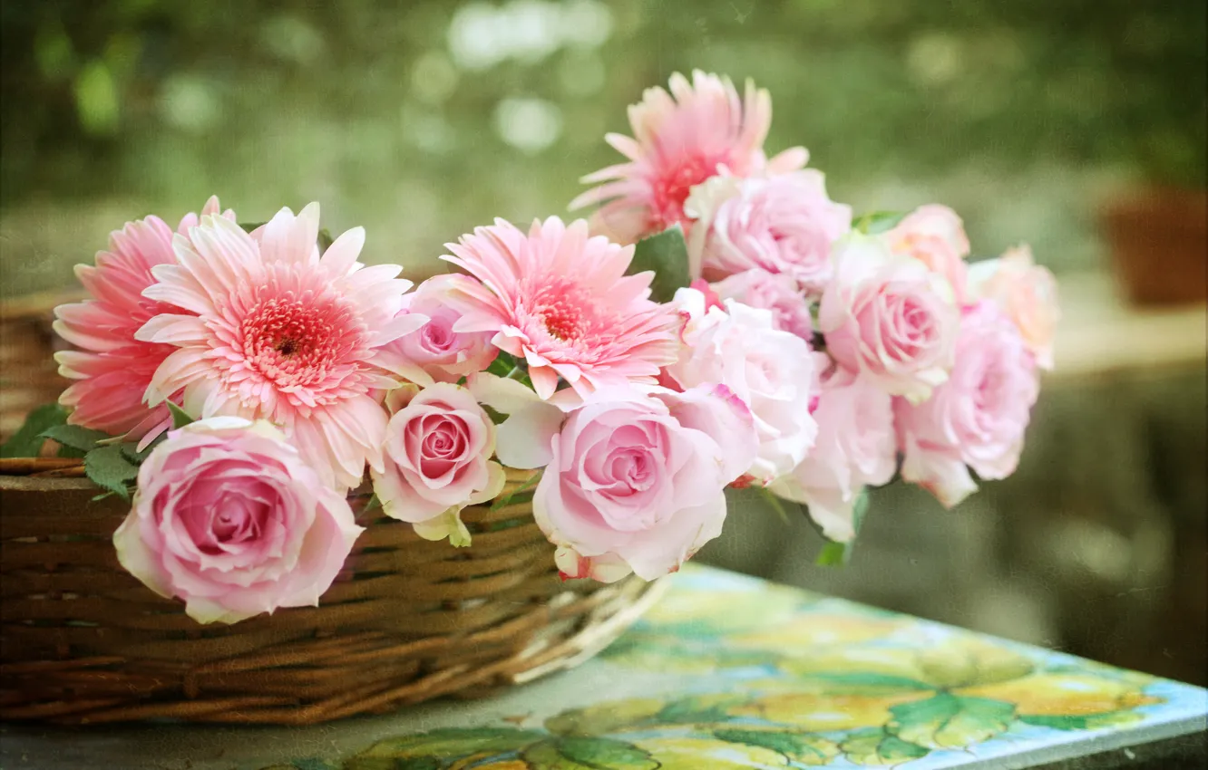 Photo wallpaper roses, basket, gerbera, © Elena Di Guardo