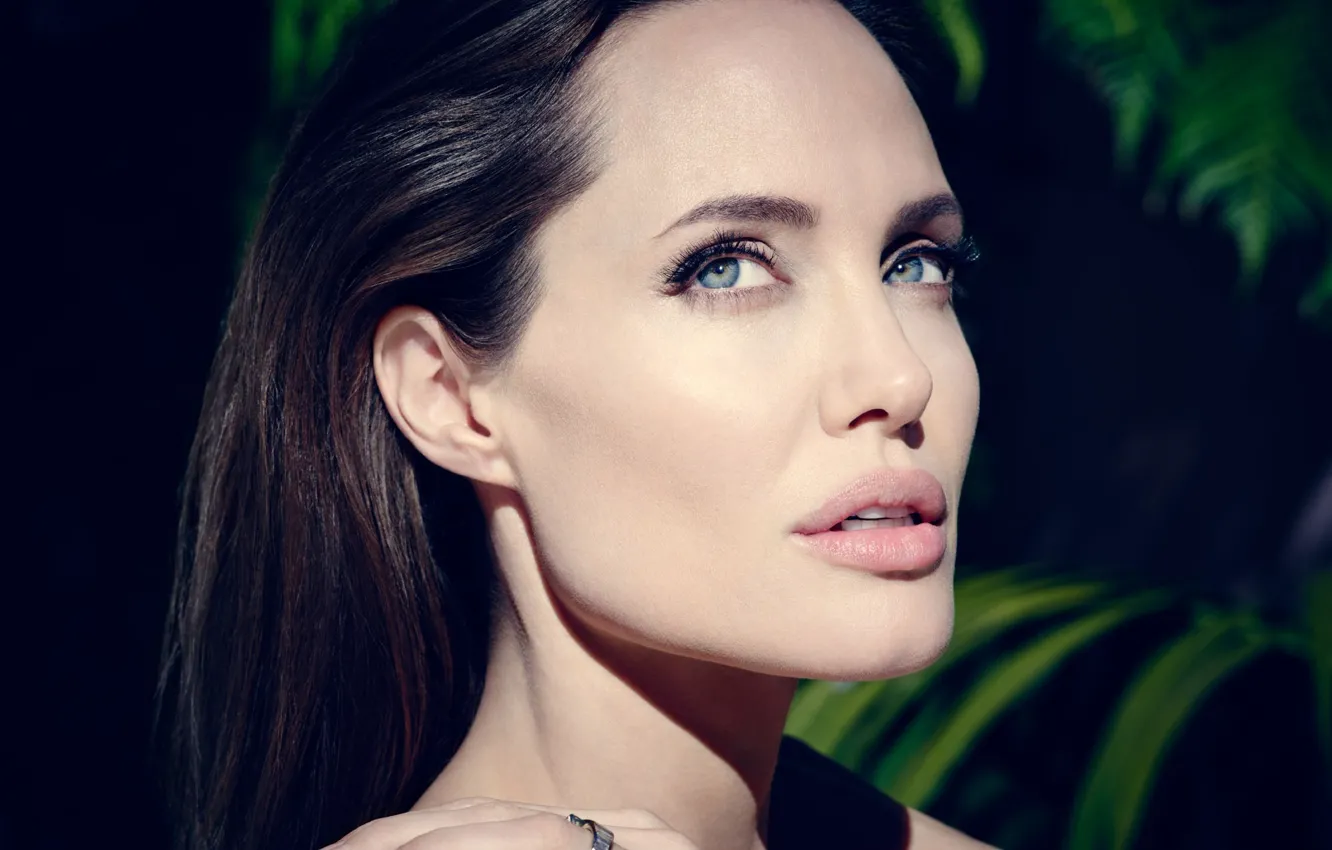 Photo wallpaper portrait, actress, Angelina Jolie
