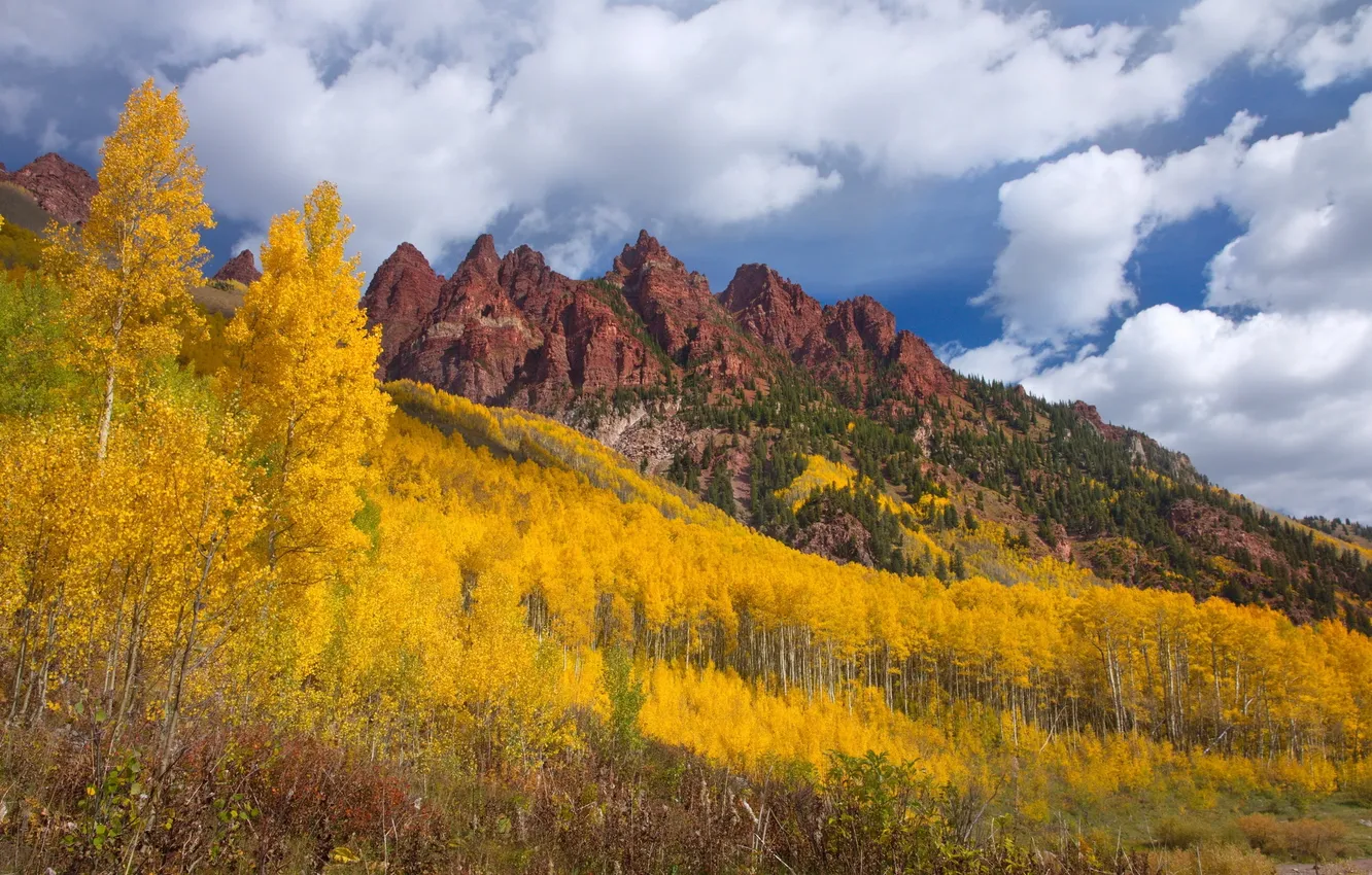 Photo wallpaper autumn, trees, mountains, nature, slope, aspen
