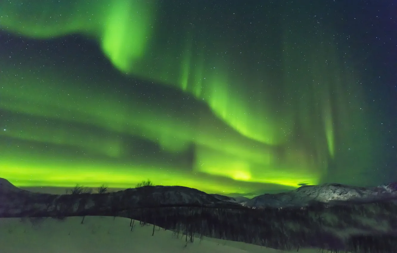 Photo wallpaper winter, the sky, stars, snow, trees, landscape, mountains, night