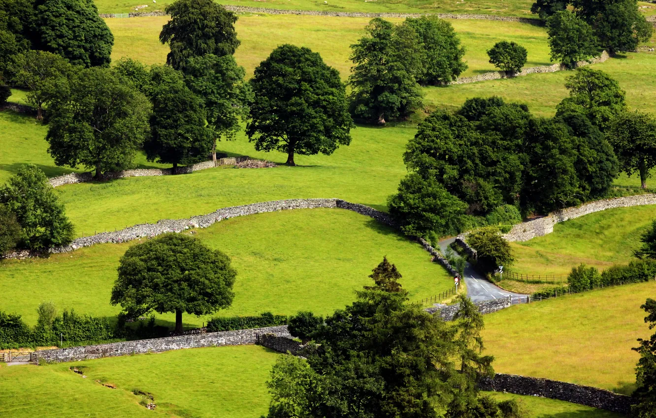 Photo wallpaper road, field, grass, trees, UK, the view from the top, areas