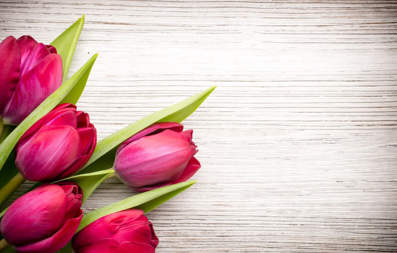 Photo wallpaper flowers, bouquet, fresh, wood, pink, flowers, beautiful, tulips