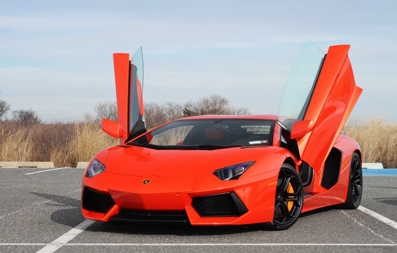 Photo wallpaper orange, lamborghini, the front, orange, aventador, lp700-4, Lamborghini, aventador